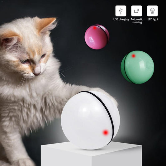 Indoor boredom busters for high energy dogs - SpinBall interactive toy