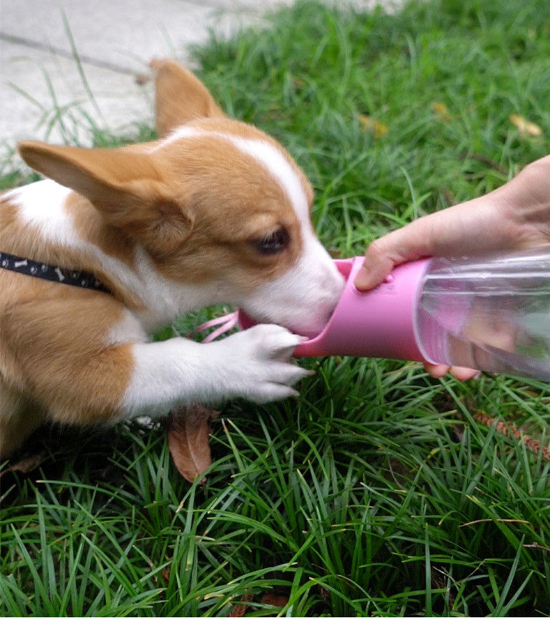 Trail Hound dog water bottle in use outdoors