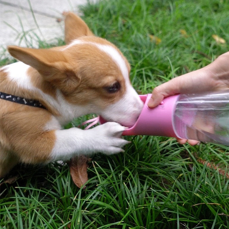 The Trail Hound portable dog water bottle in blue